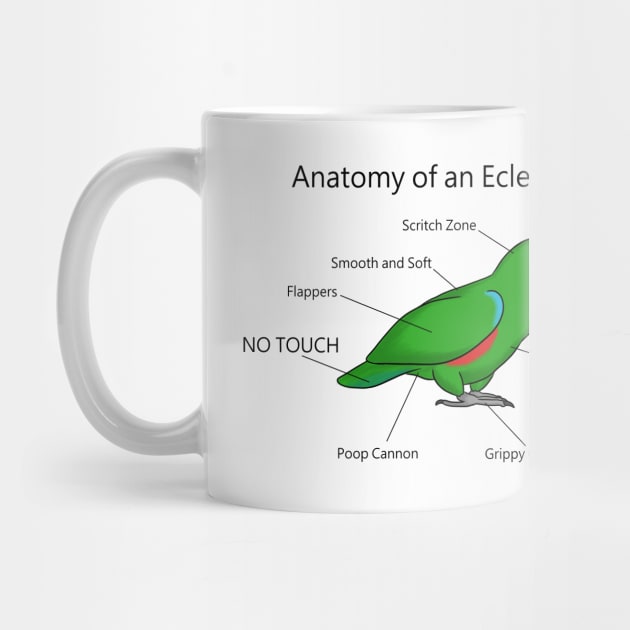 Anatomy of An Eclectus Male by DILLIGAFM8